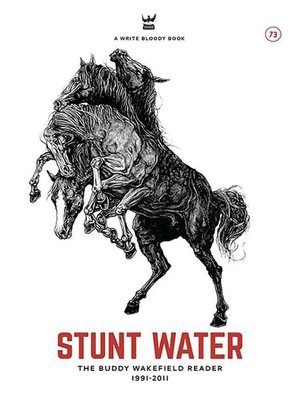 cover image of Stunt Water eBook
